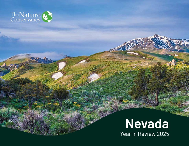 Nevada 2025 annual report cover thumbnail.