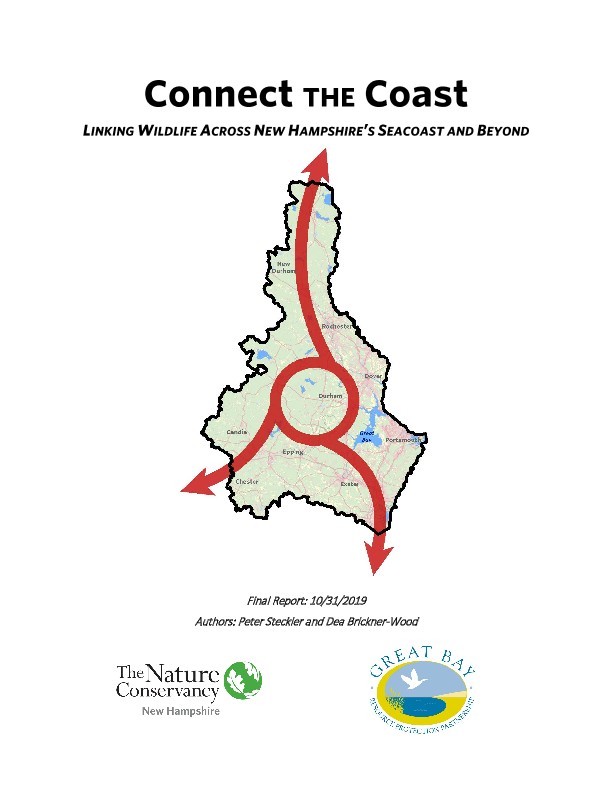 Cover of the Connect the Coast Report.