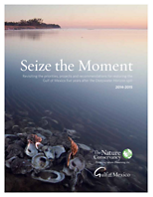 A report on priorities, projects and recommendations for restoring the Gulf of Mexico five years after the Deepwater Horizon spill.