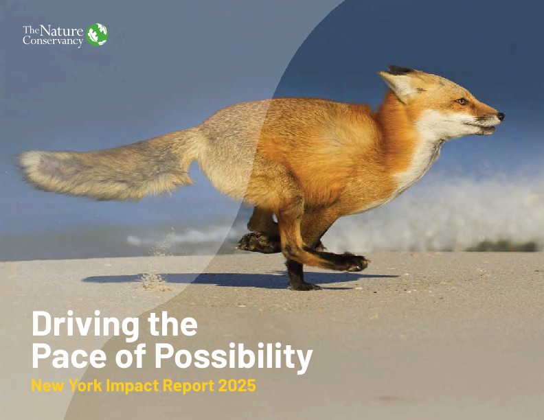 Driving the pace of possibility