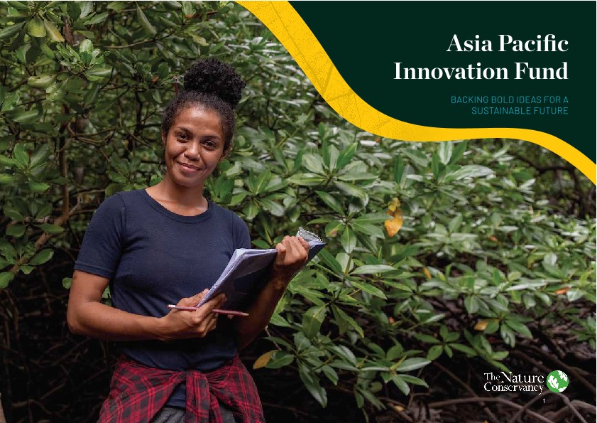 Cover of the APIF PDF with a woman holding a clipboard.