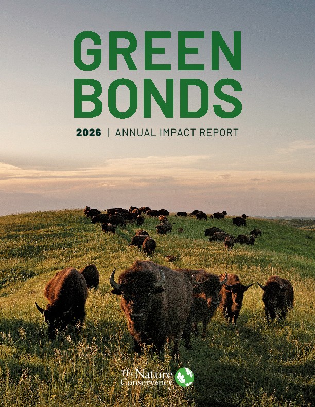 Cover of the 2026 Green Bonds annual report.
