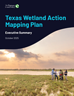 Cover of the Texas Wetland Action Mapping report.