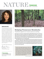 A newsletter covers features a forest of tall trees.