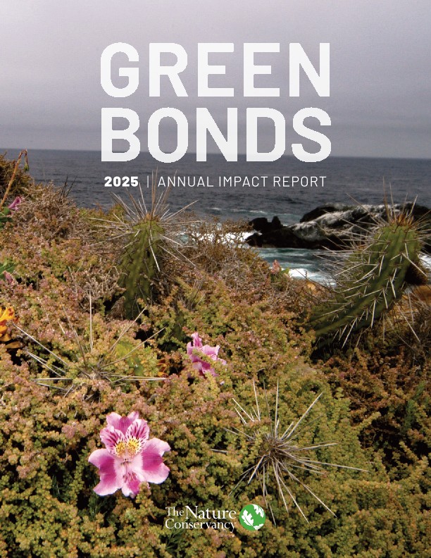 Cover of the 2025 Green Bonds annual report.
