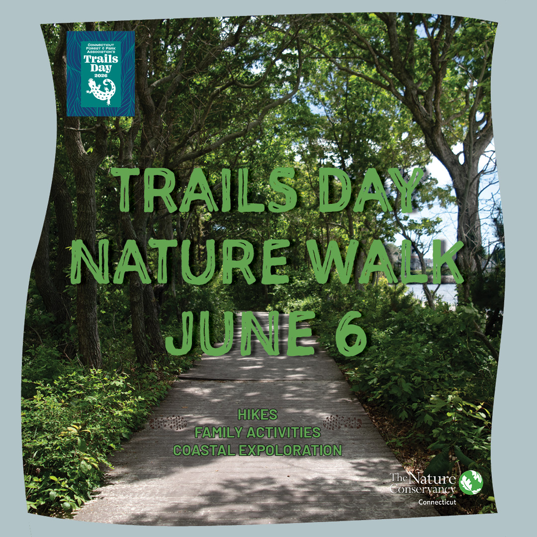Image of a promotional poster for "Trails Day Nature Walk" on June 6. Features include hikes, family activities, and coastal exploration. The event is associated with The Nature Conservancy in Connecticut. A scenic path surrounded by lush greenery is pictured.