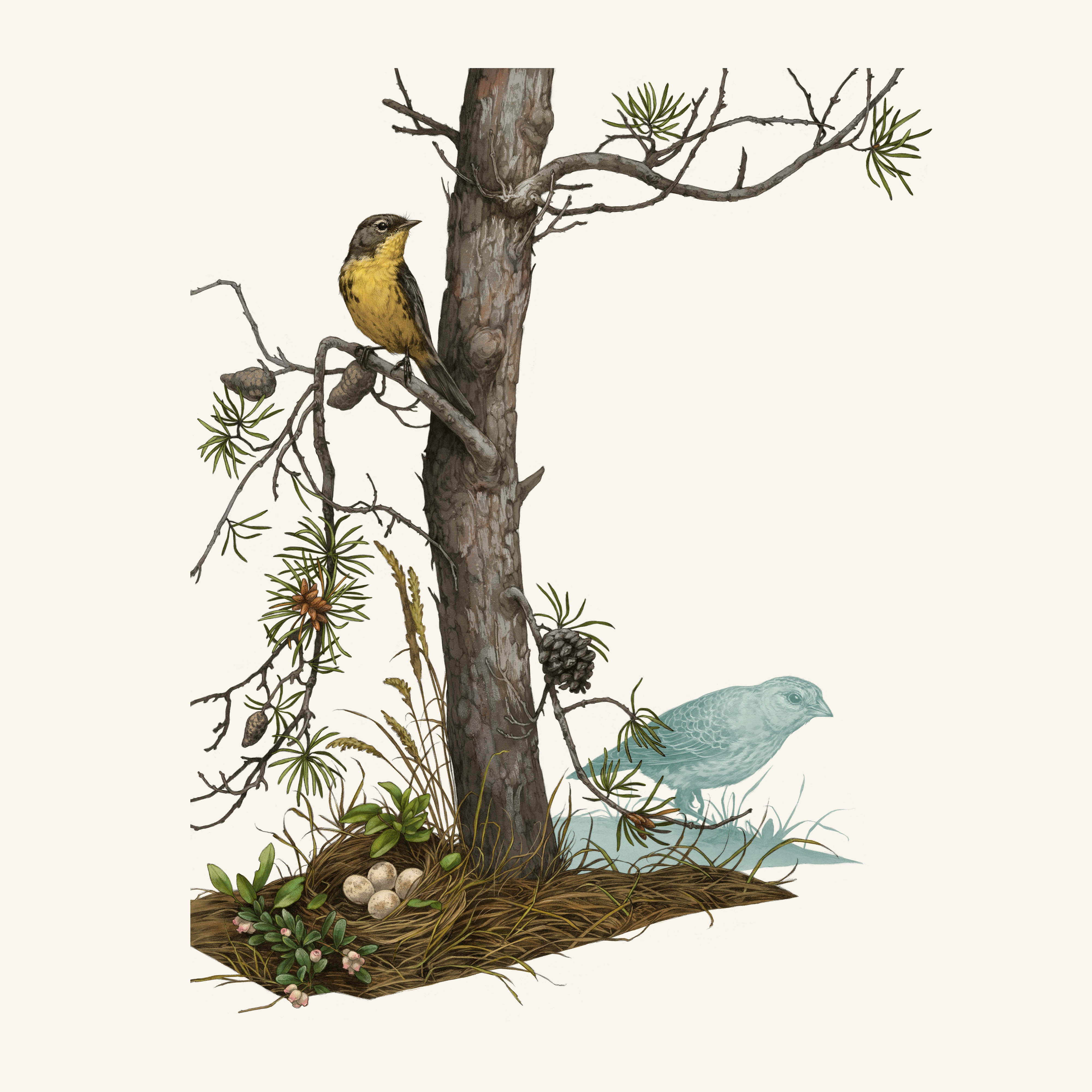 Ilustración de un pájaro amarillo posado en una rama de un árbol de aspecto escaso.