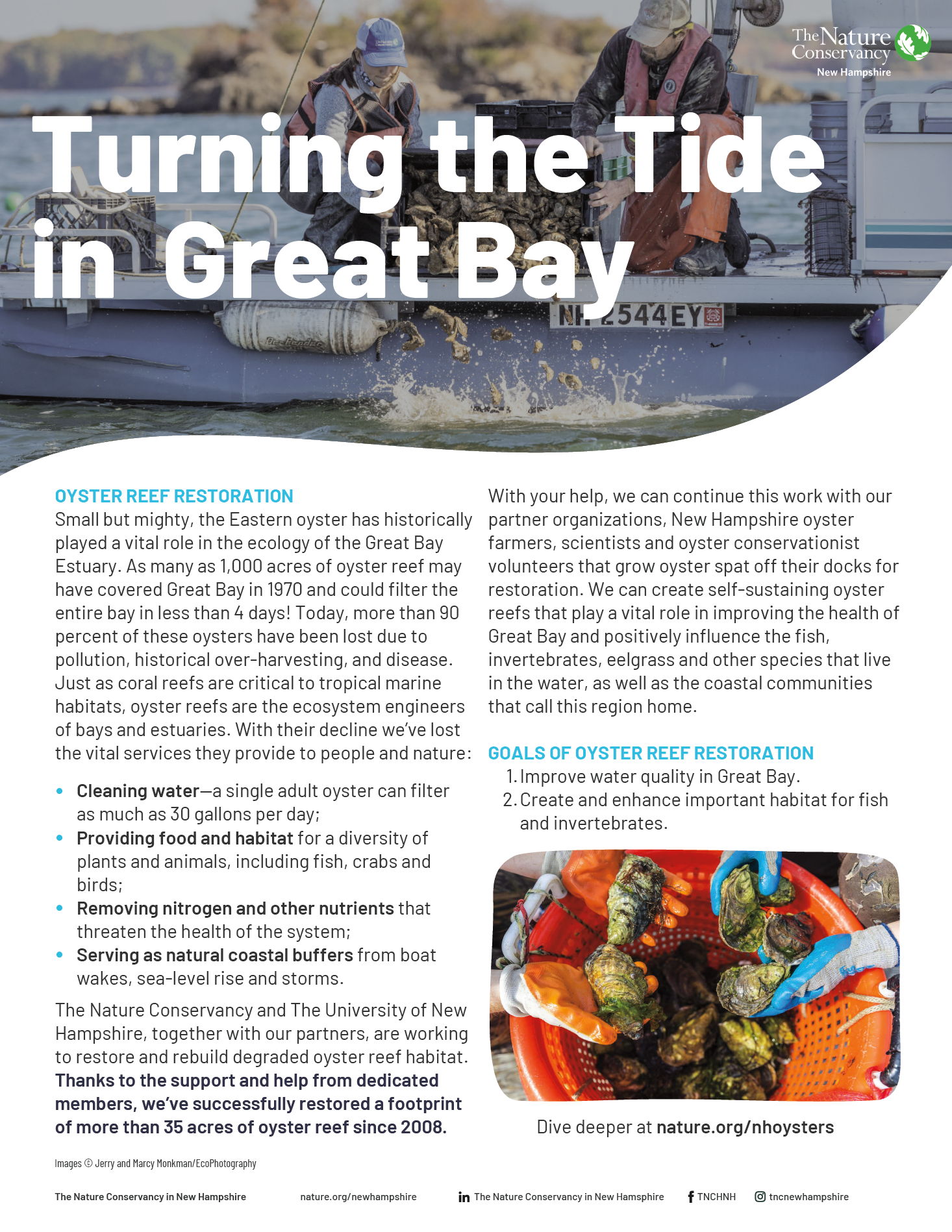 Oyster Restoration timeline