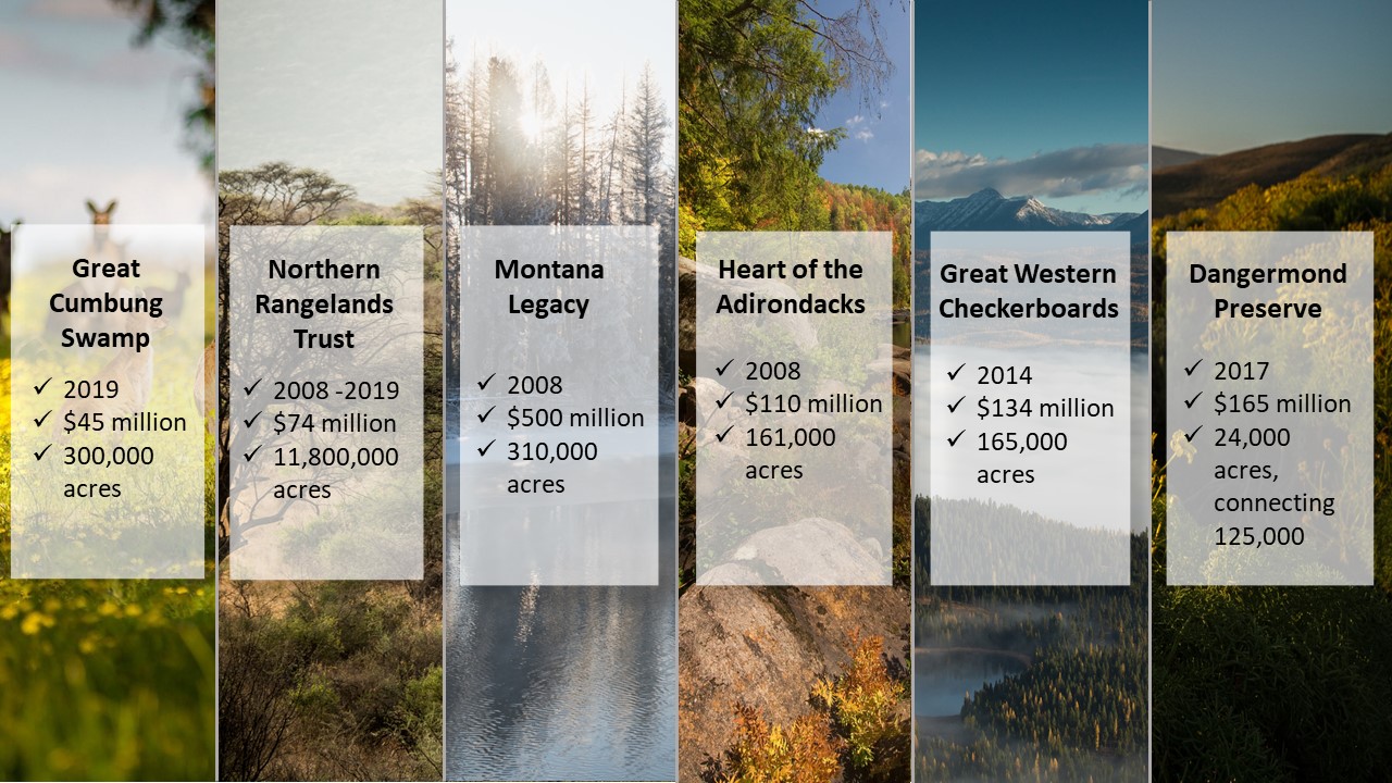 State Of The Nature Conservancy 2019