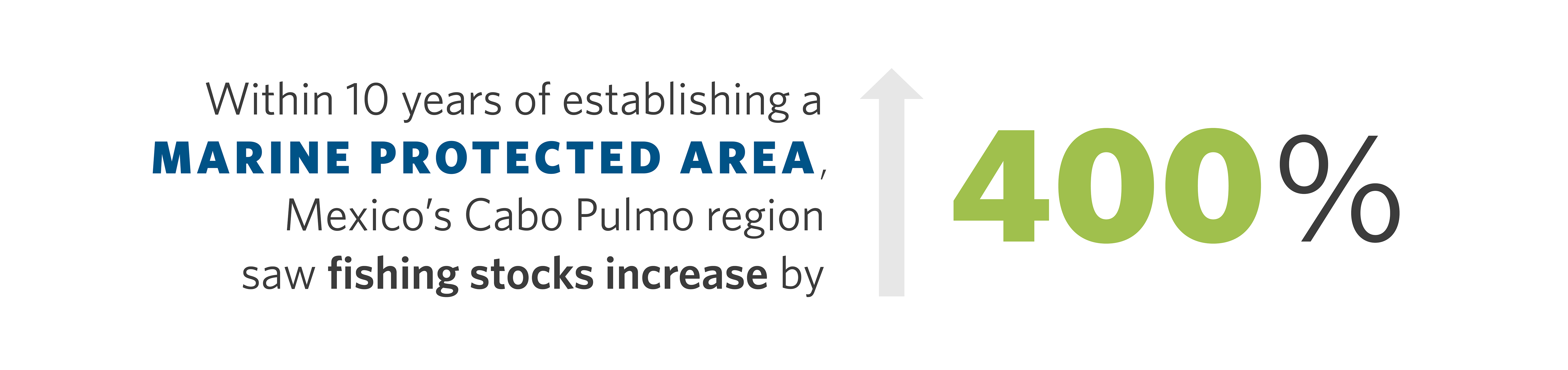 a graphic with text that reads 'within 10 years of establishing a marine protected area, Mexico's Cabo Pulmo region saw fishing stocks increase by four hundred percent with an arrow indicating growth'