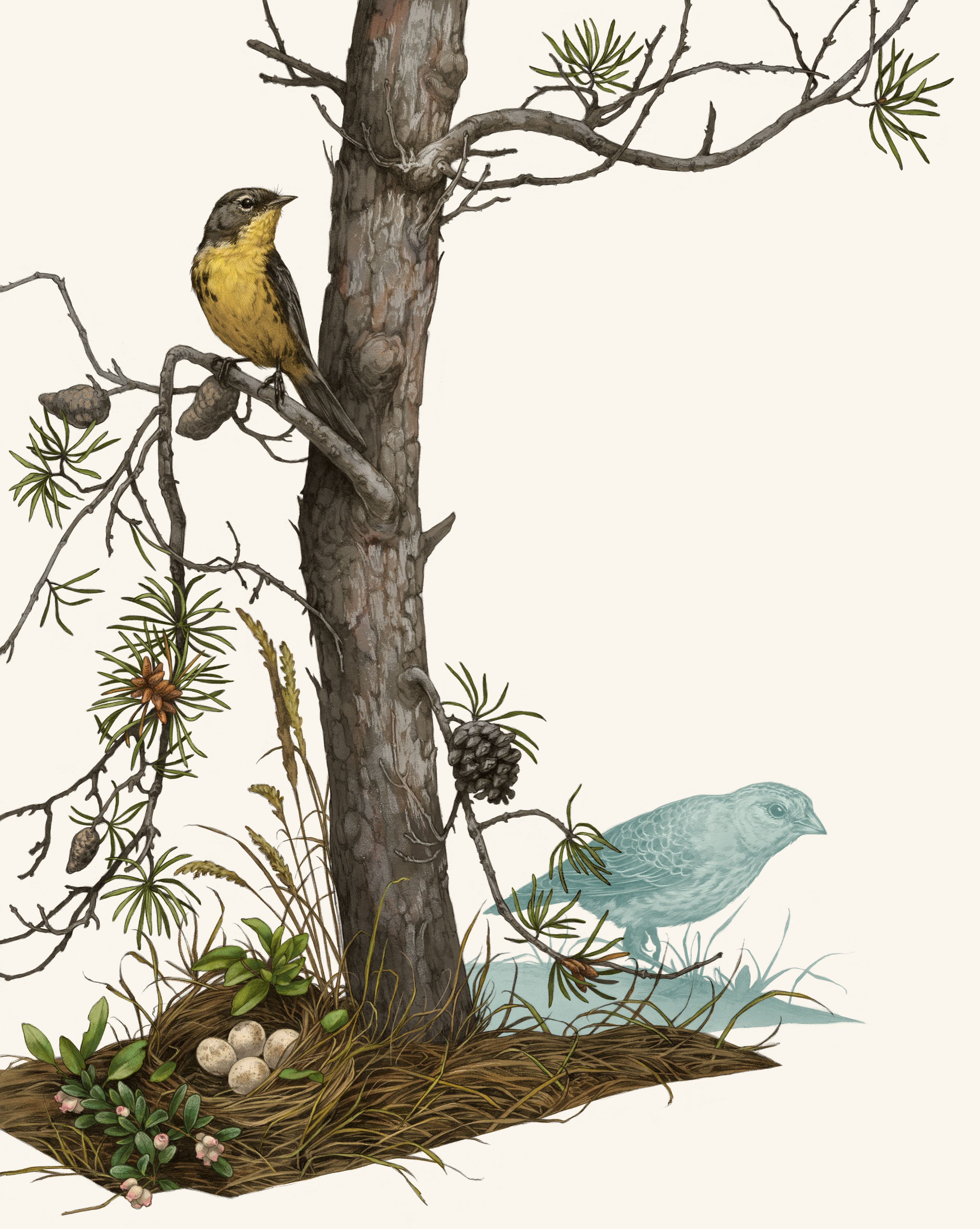 illustration of a yellow bird sitting on a branch in a sparse looking tree.
