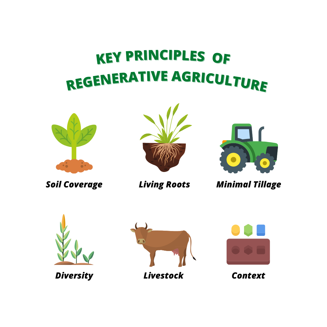 Graphic of agriculture icons.