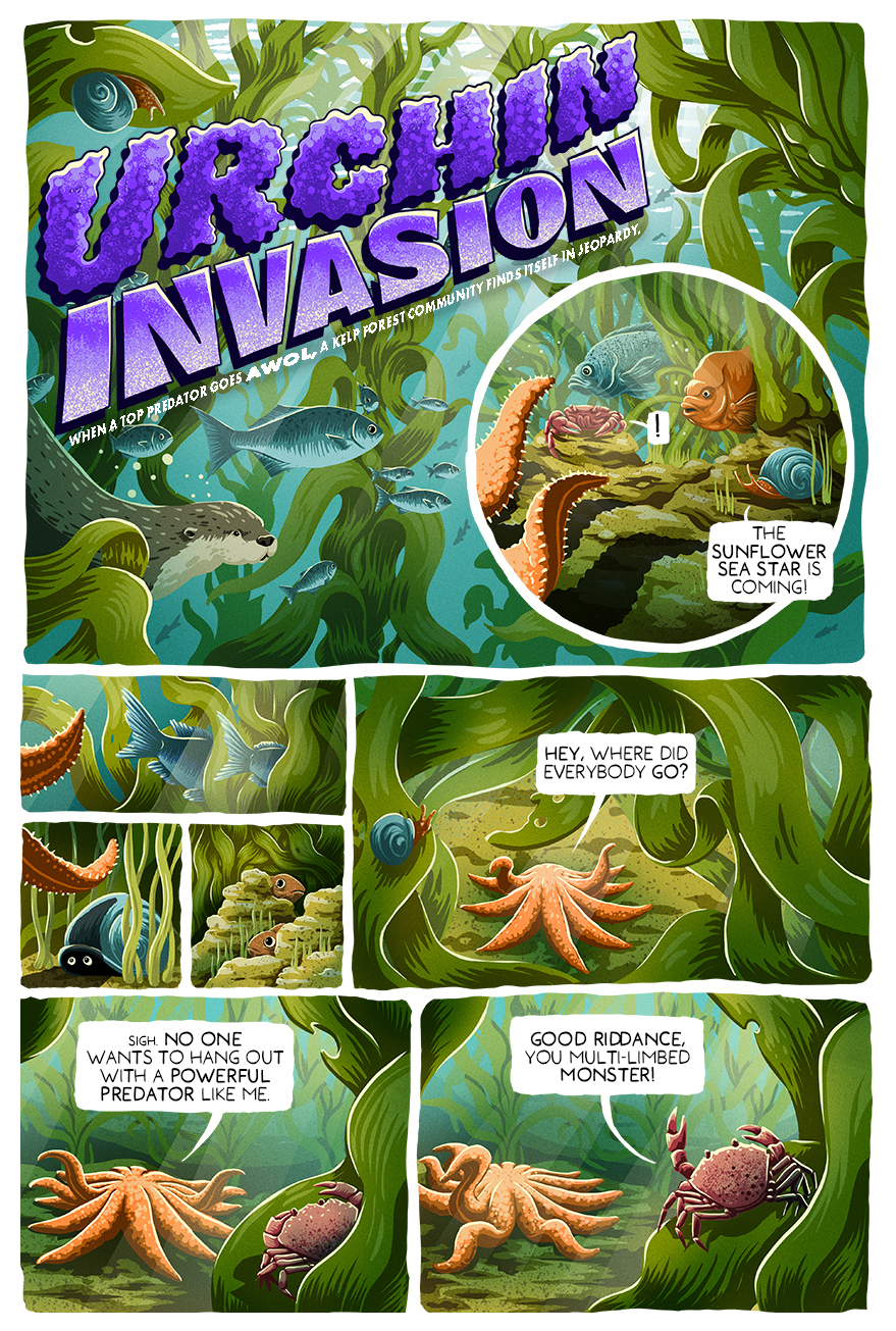 A comic tells the story of purple sea urchins taking over a kelp forest.