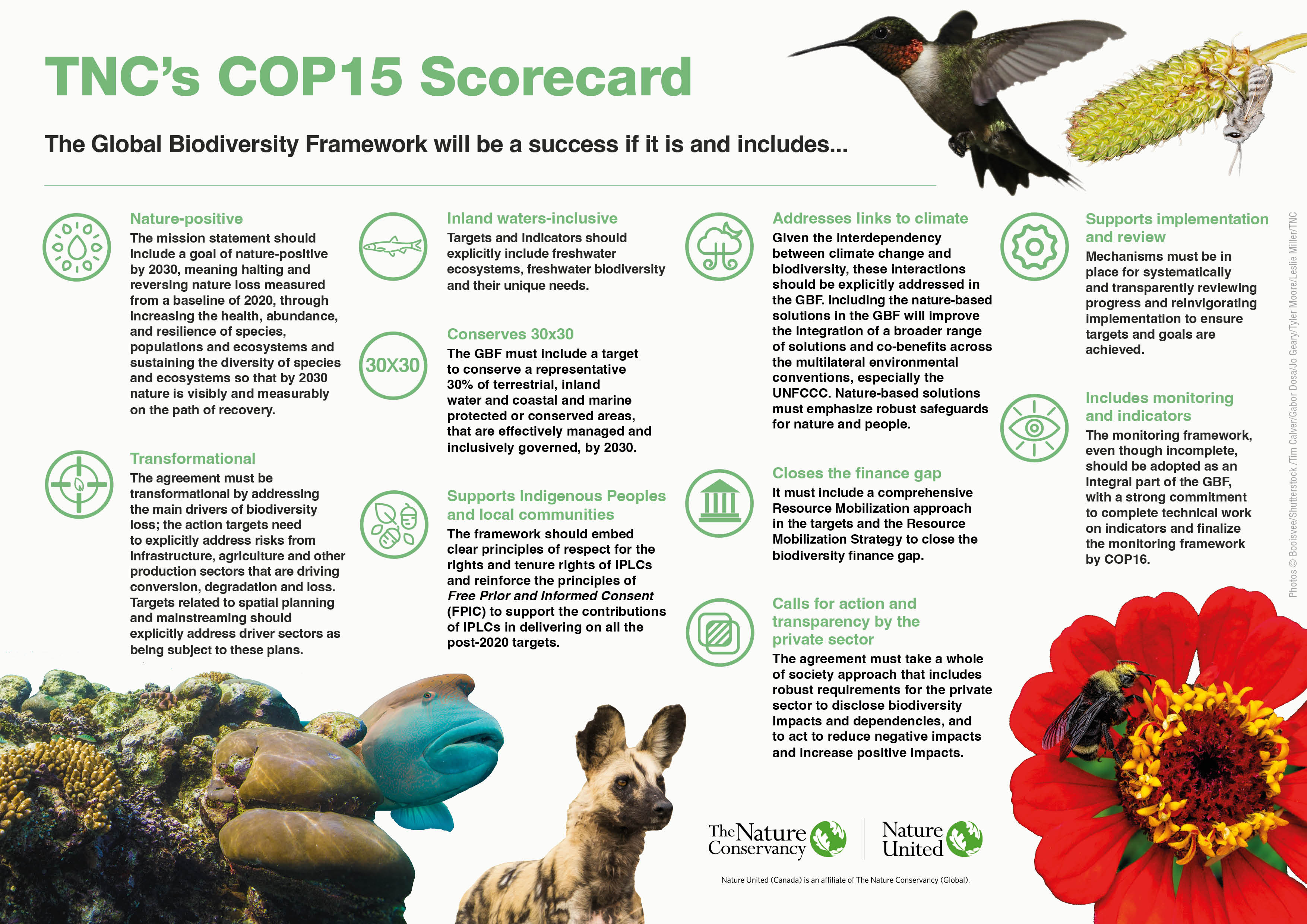 Image of an infographic showing the 10 elements of what would make the COP15 biodiversity conference a success.