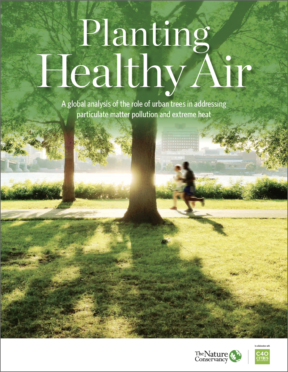 Planting Healthy Air Report - A global analysis of the role of urban trees in addressing particulate matter pollution and extreme heat.
