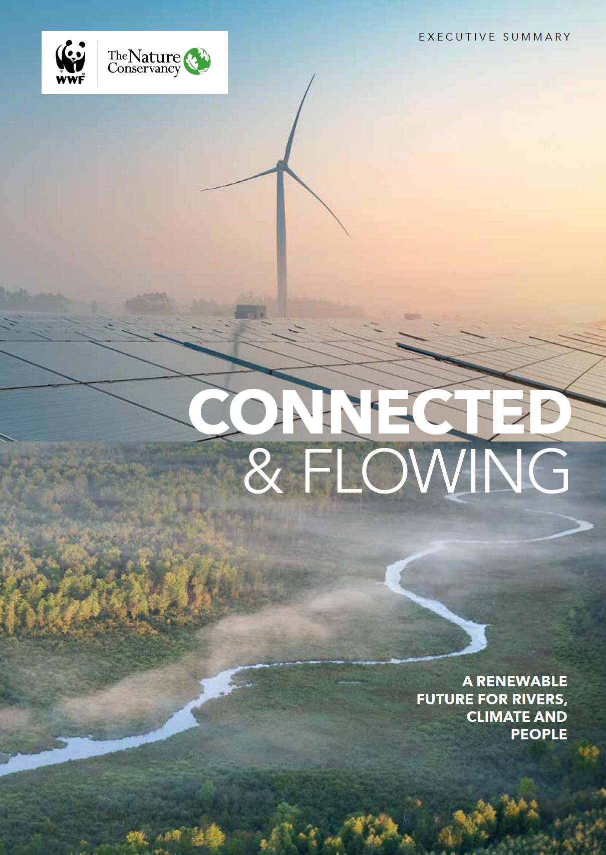 Thumbnail of Connected & Flowing executive summary.