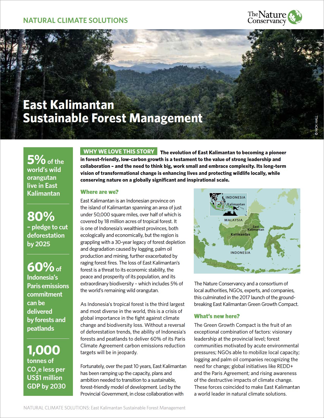 Serena spand Sprængstoffer What are natural climate solutions? | The Nature Conservancy