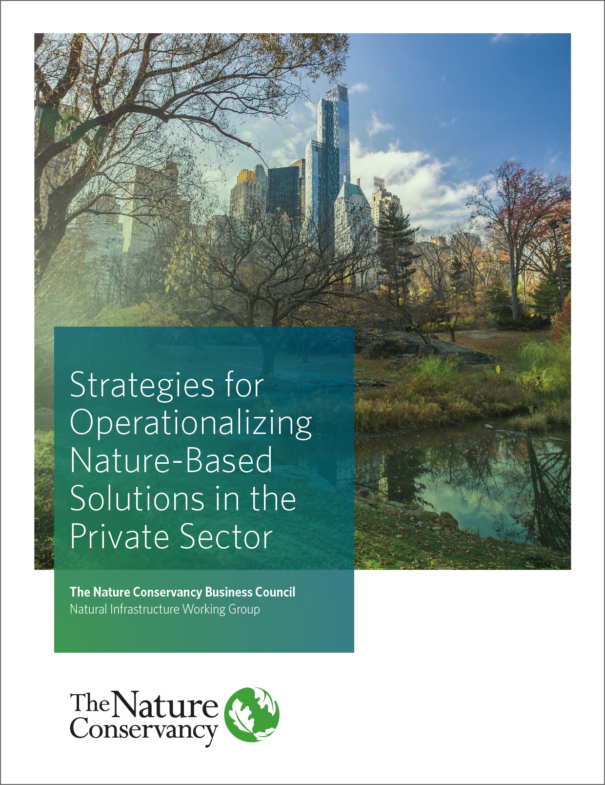 NBS in the Private Sector Report Cover