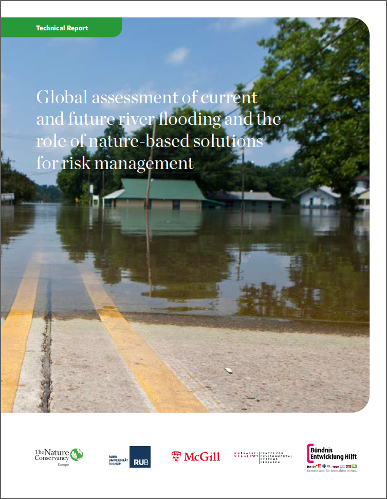 Photo of flooded road and house with title of report