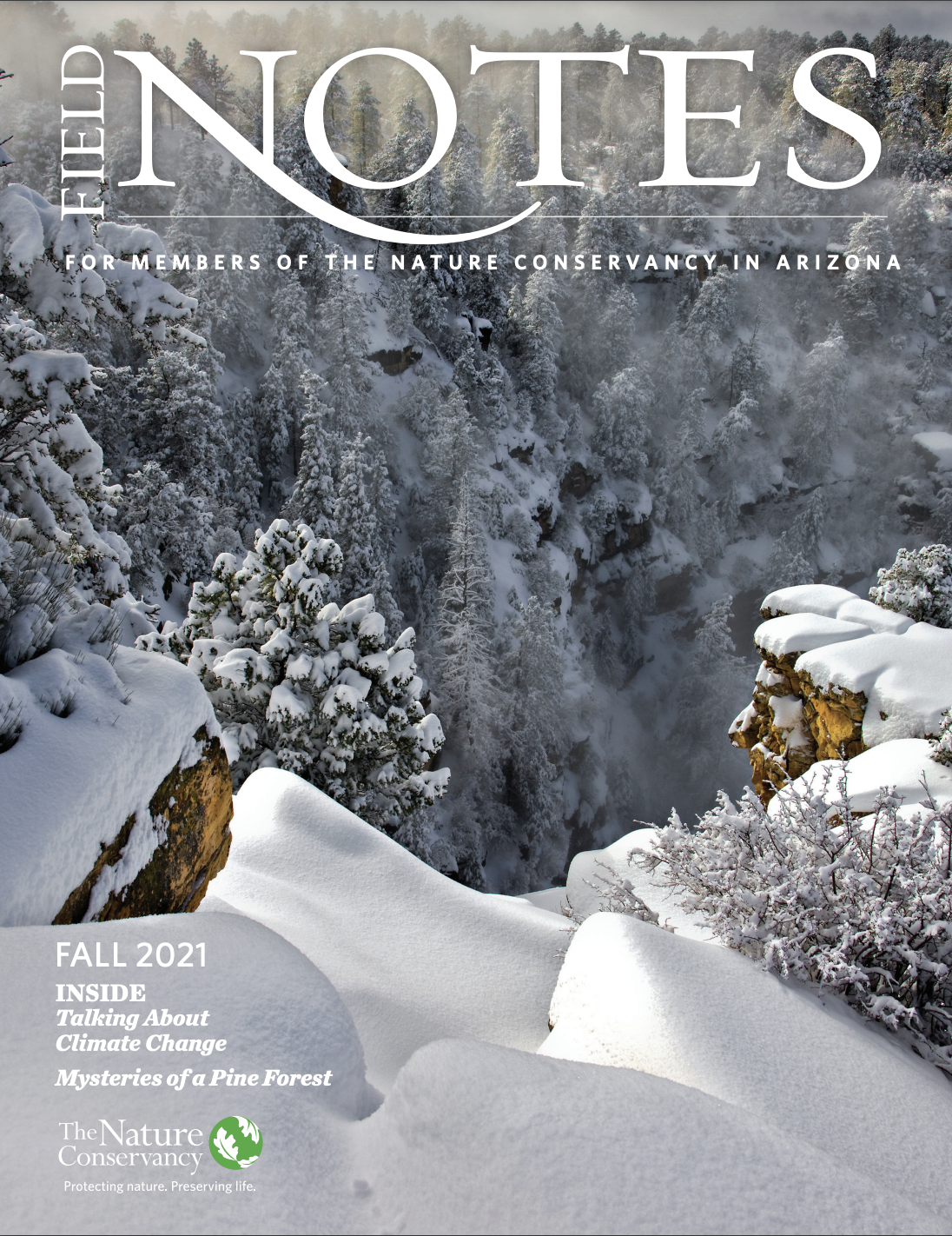 Cover of the Fall 2021 Field Notes Magazine