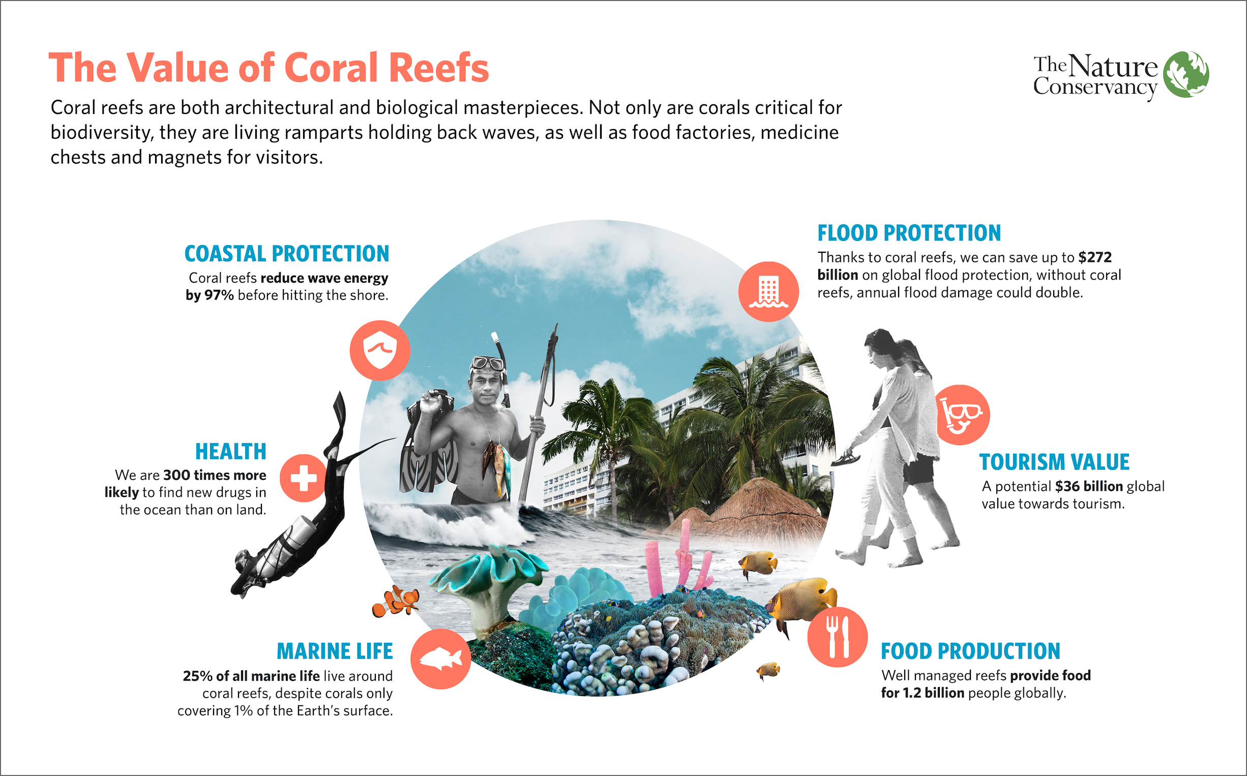 importance of coral reefs research paper