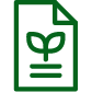 Green icon of a policy document