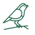 Green icon of a bird.