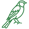 A green icon of a bird.