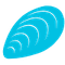 A light blue icon of a mussel shell.
