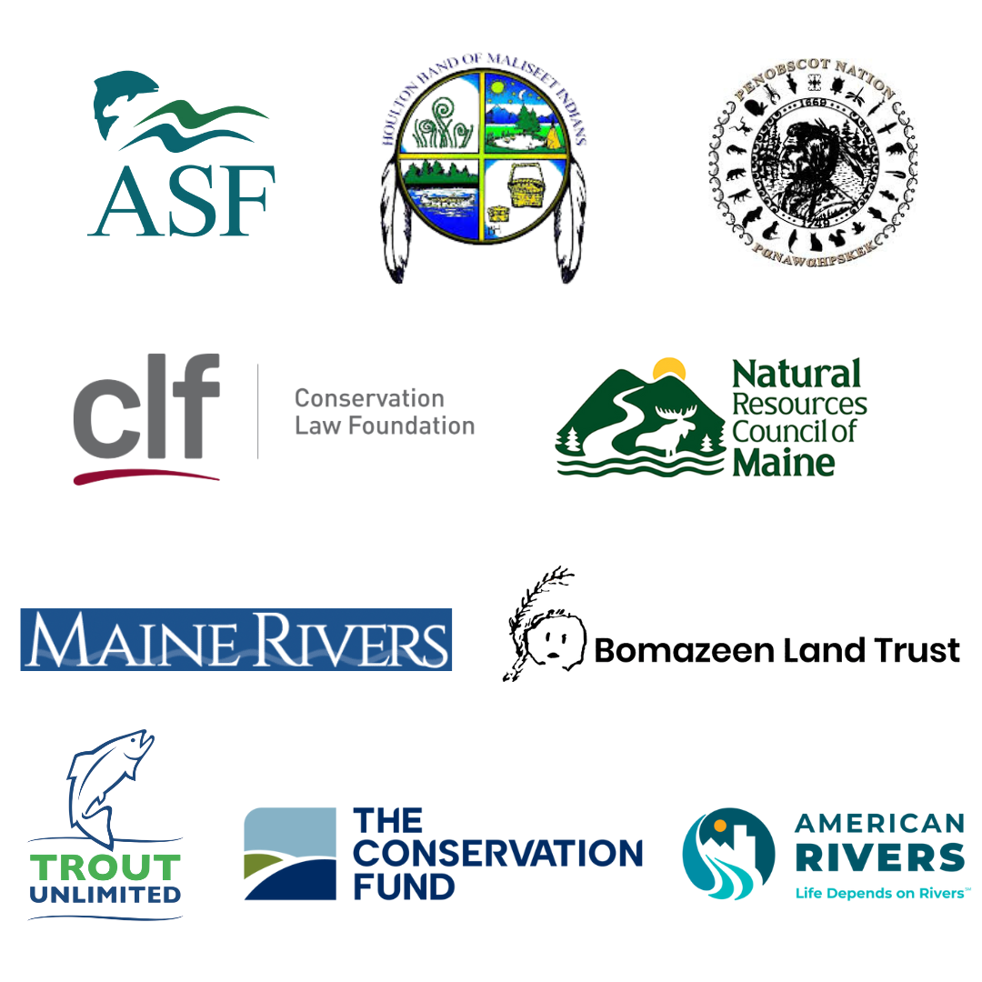 A collage of partner logos.