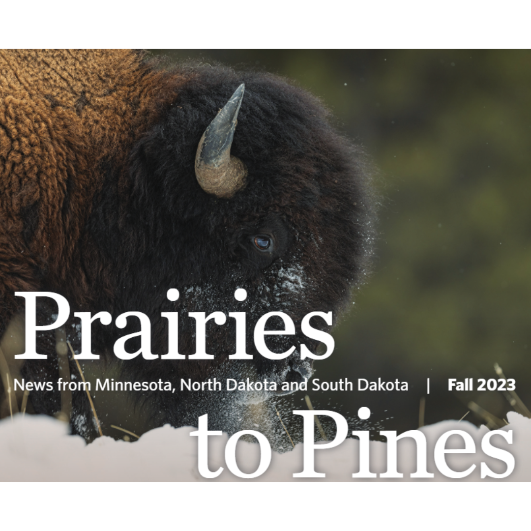 Prairies to Pines Fall 2023.