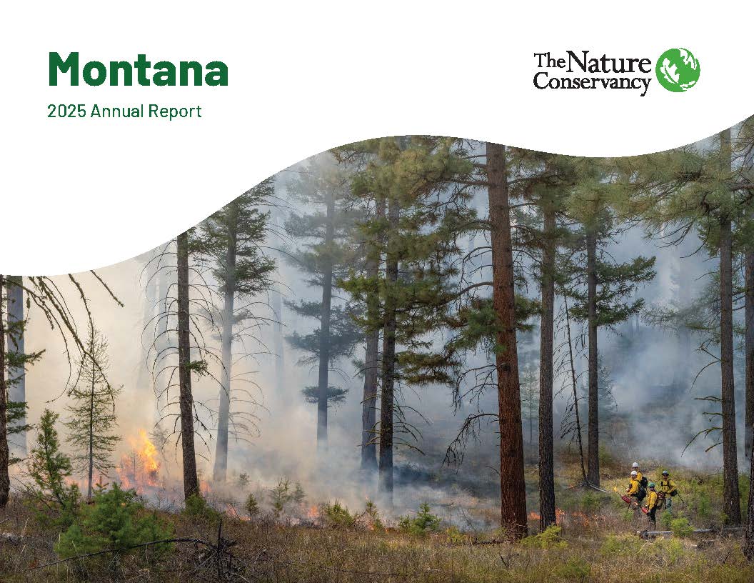 Cover of impact report with prescribed fire in forest.