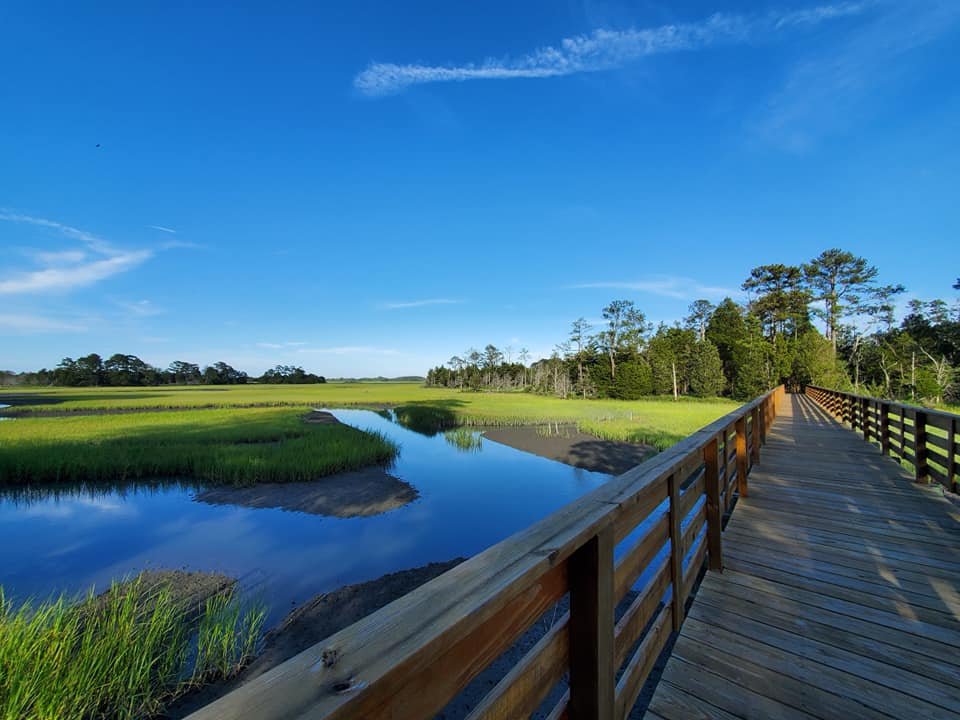 Bridge over Upshur Creek at Brownsville Preserve. A wooden footbridge extends over the marsh and shallow water of Upshur Creek on Virginia's Eastern Shore.