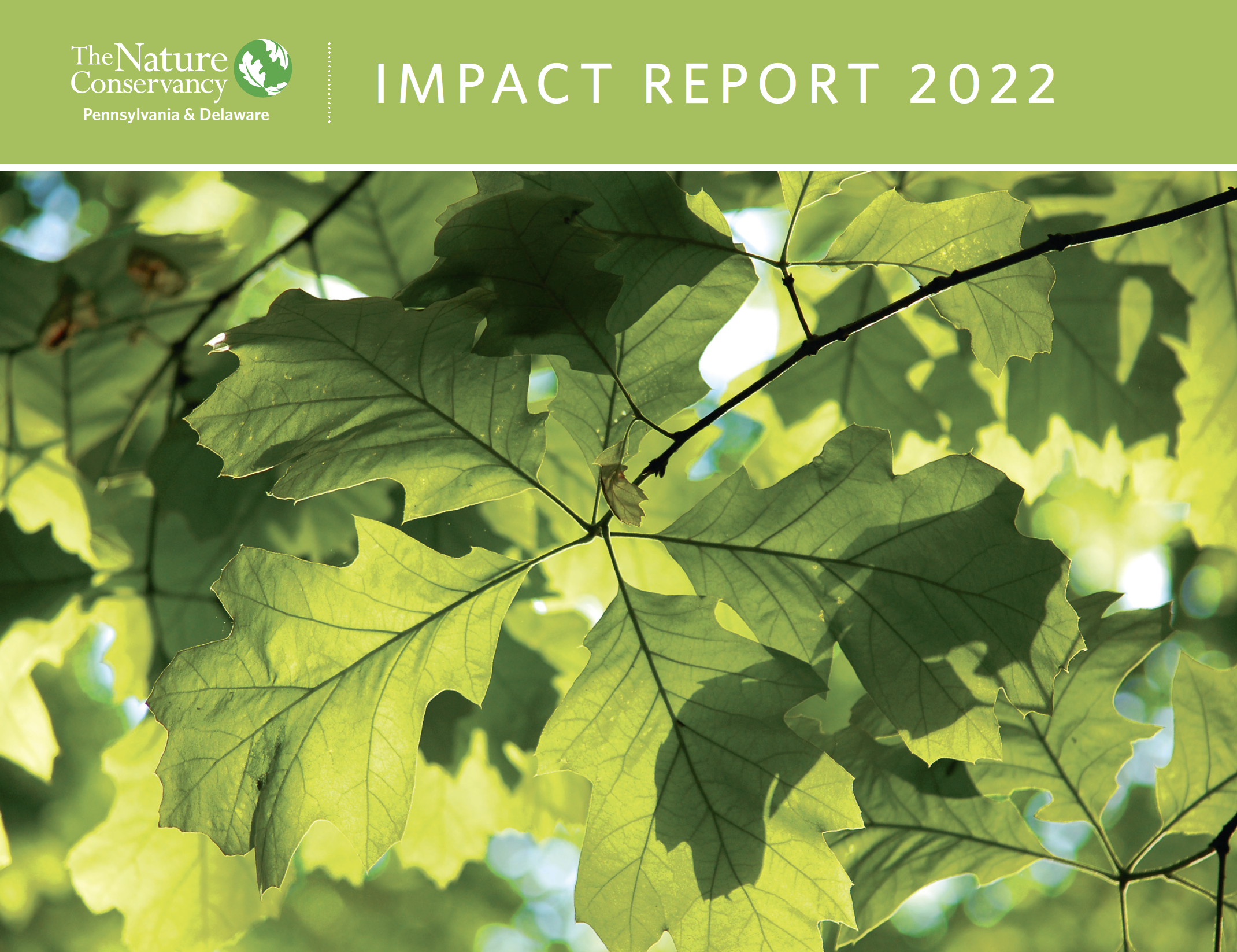 Cover of the 2022 PADE Impact Report.