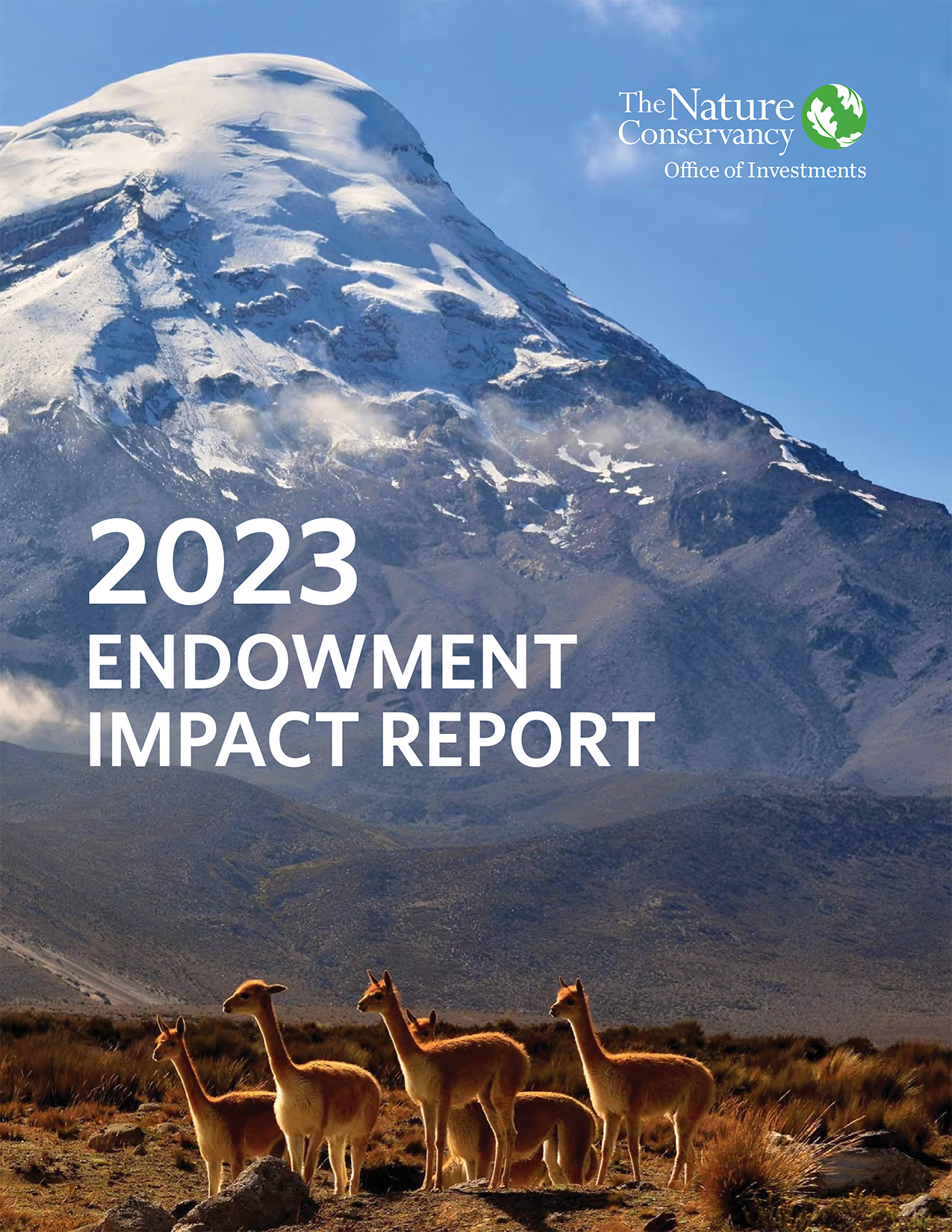 Cover of the 2023 Endowment Impact Report.