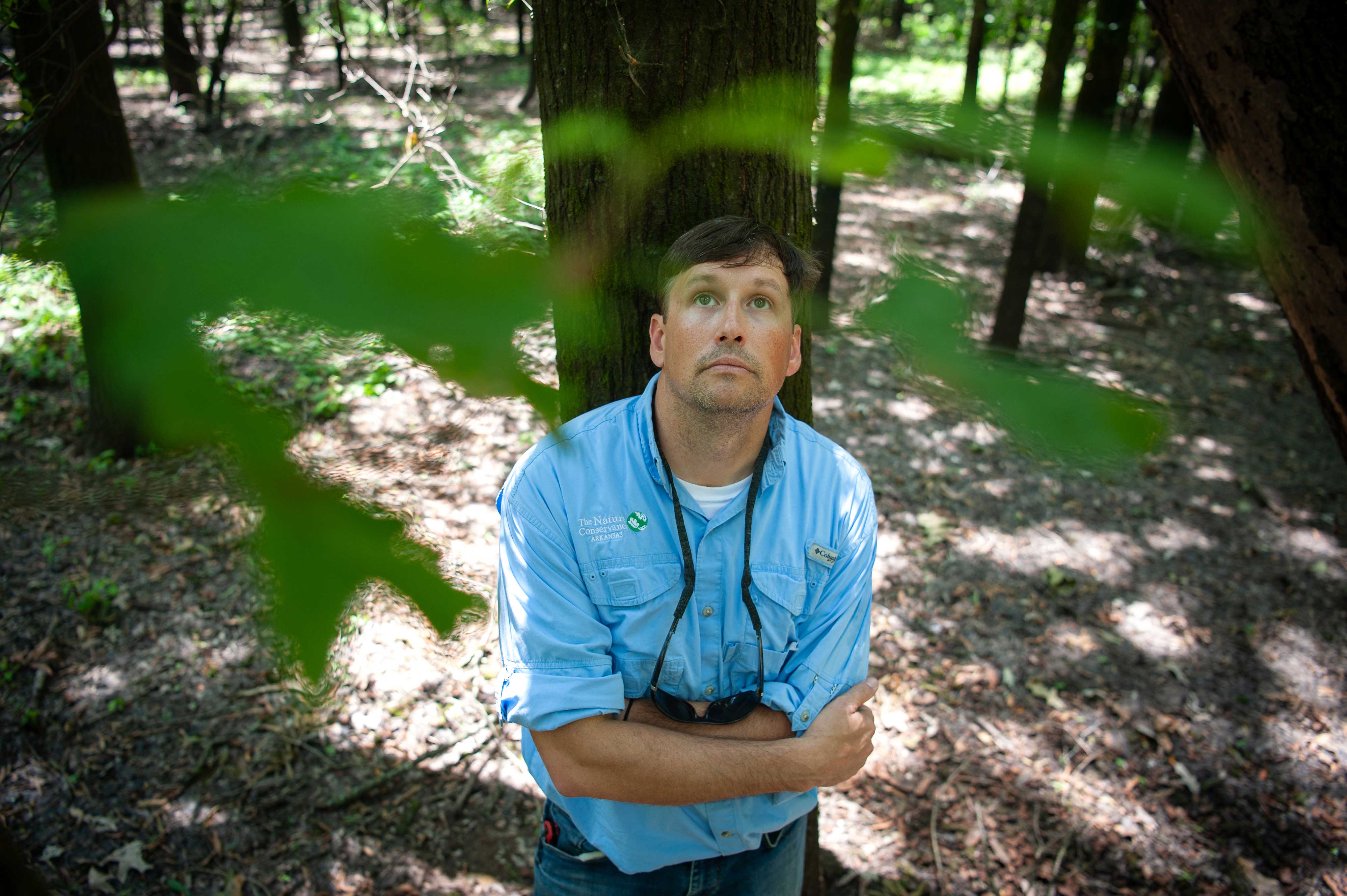Jason Milks stands with his back against a tree in a forest and looks up at the tops of the trees.