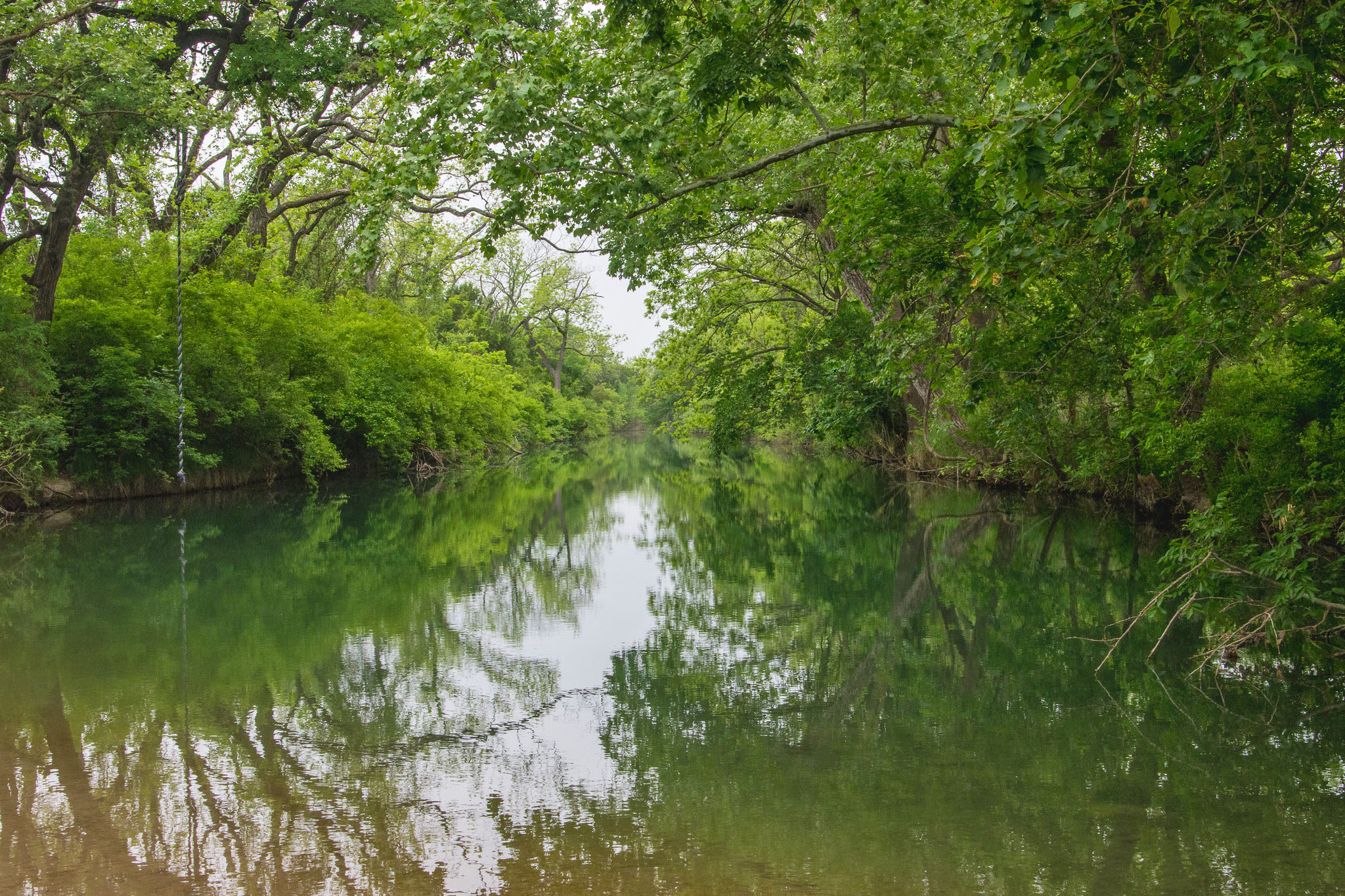 A creek reflects the green foliage that lines it.