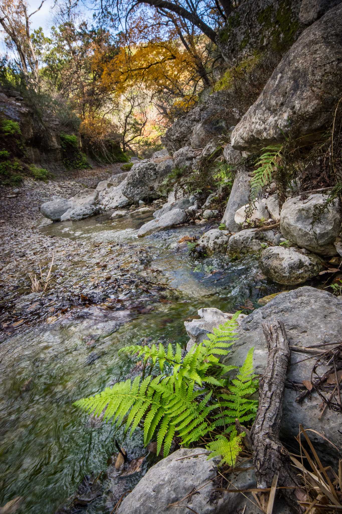 Love Creek trickles along a shallow stream bed.