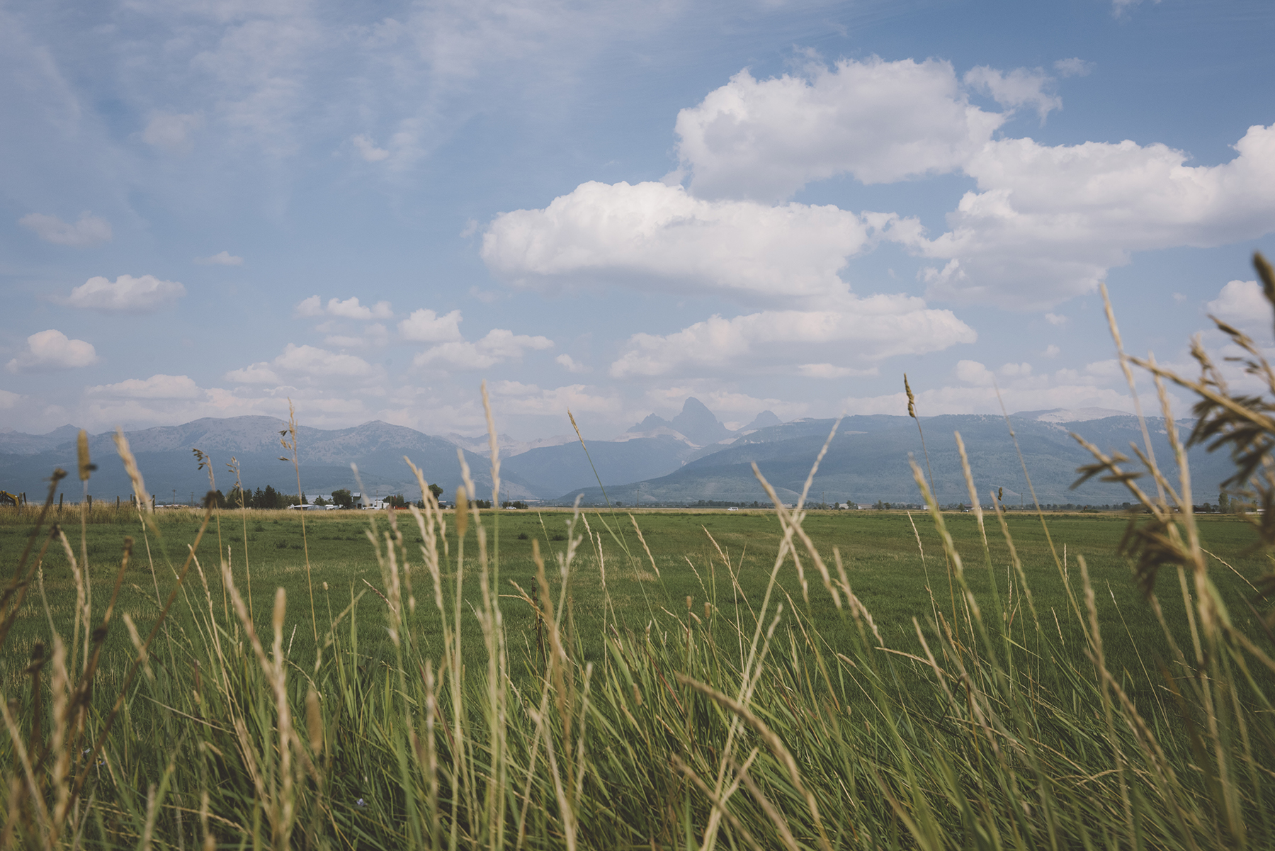 A wide green field with mountains in the background.