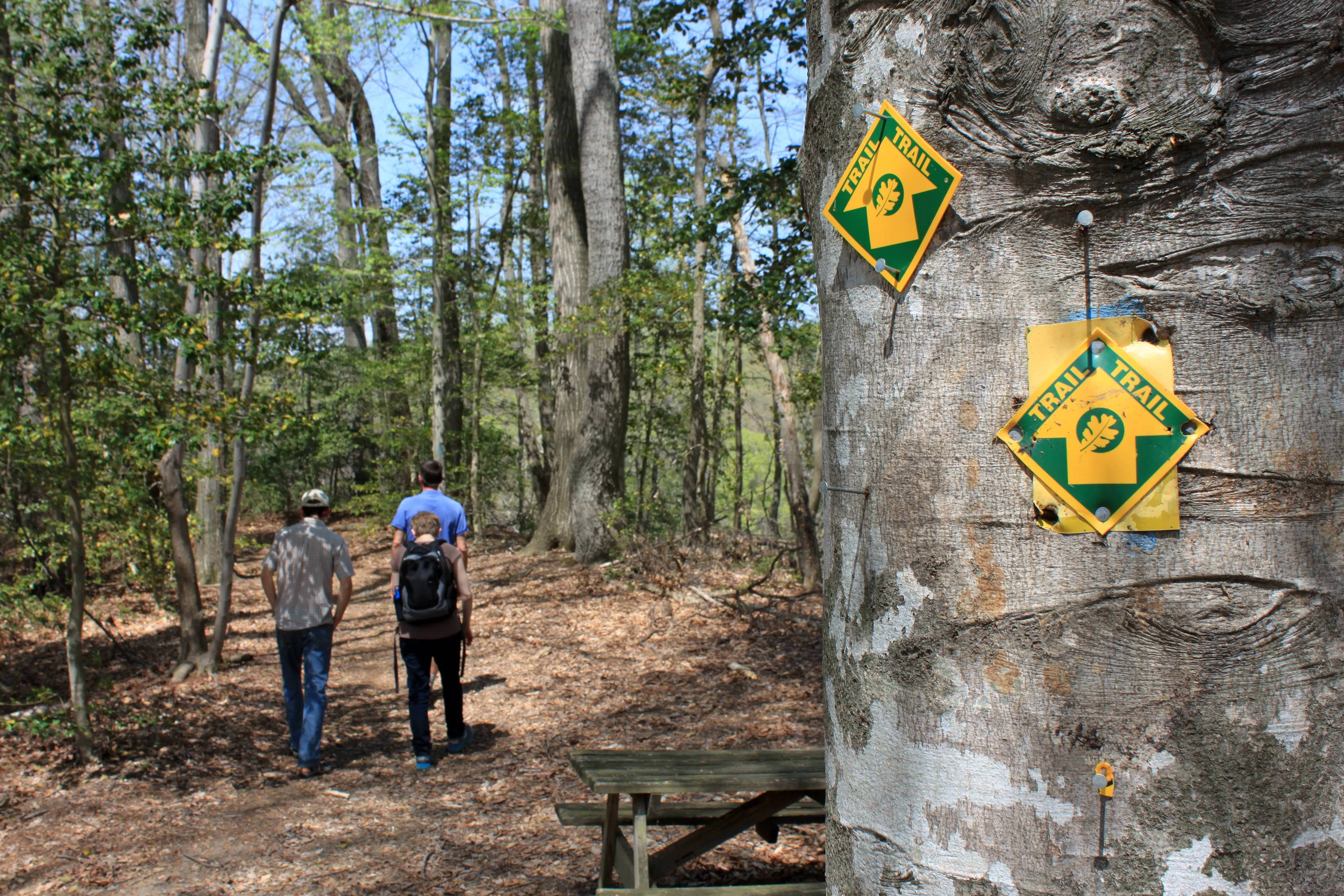 Three people walk past a picnic table following a leaf-covered path into a thick green forest. A yellow and green trail blaze sign nailed to a tree marks the way forward.