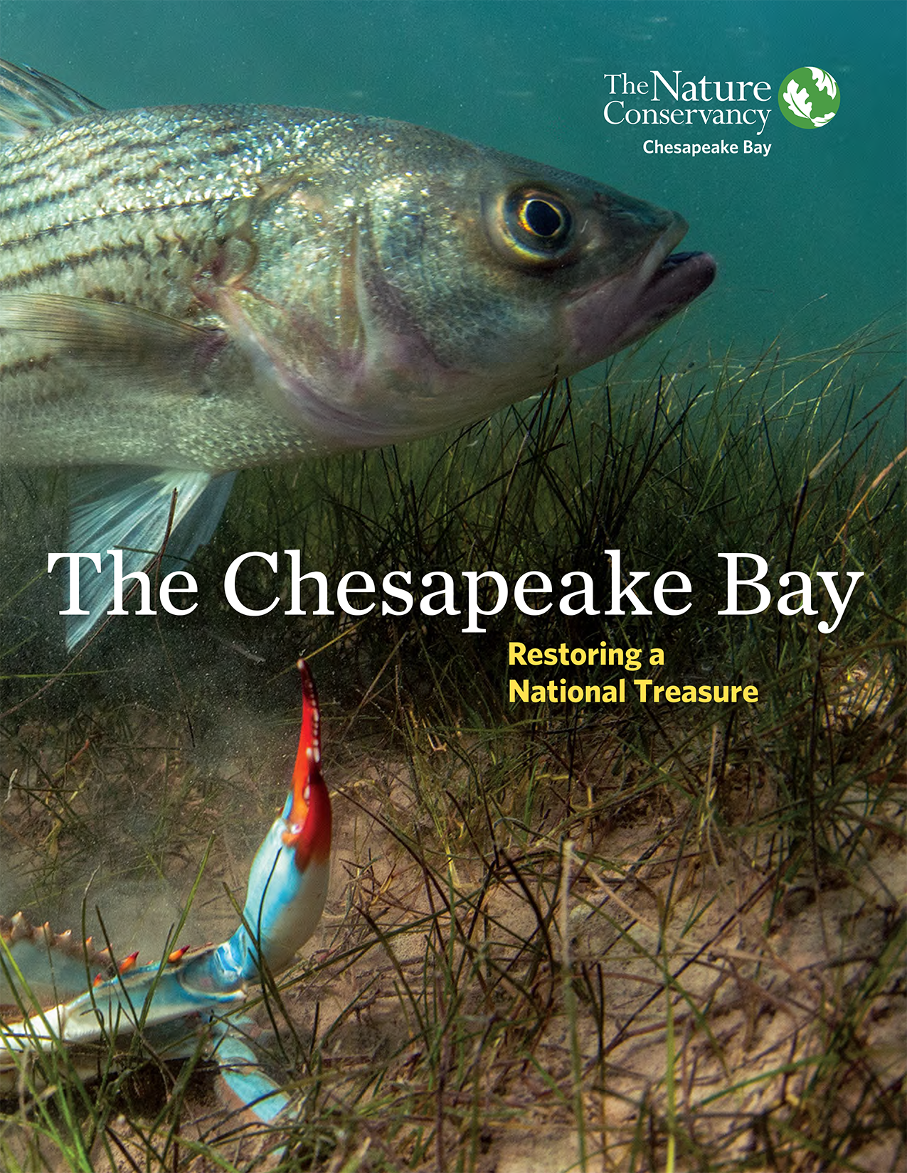 Cover of the 2023 Chesapeake Bay case for support.