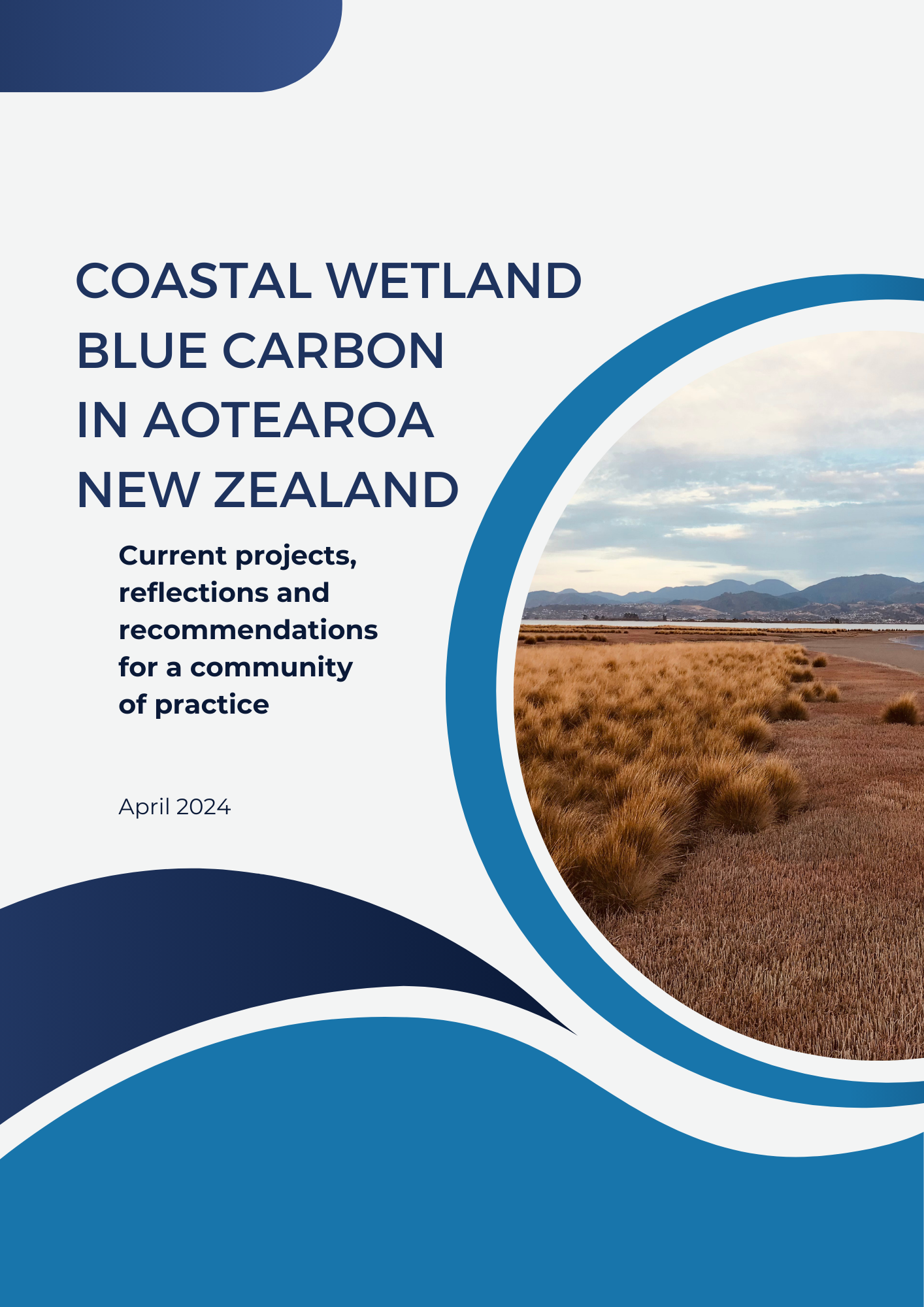 Cover of the TNC NZ Coastal Wetland Blue Carbon report.