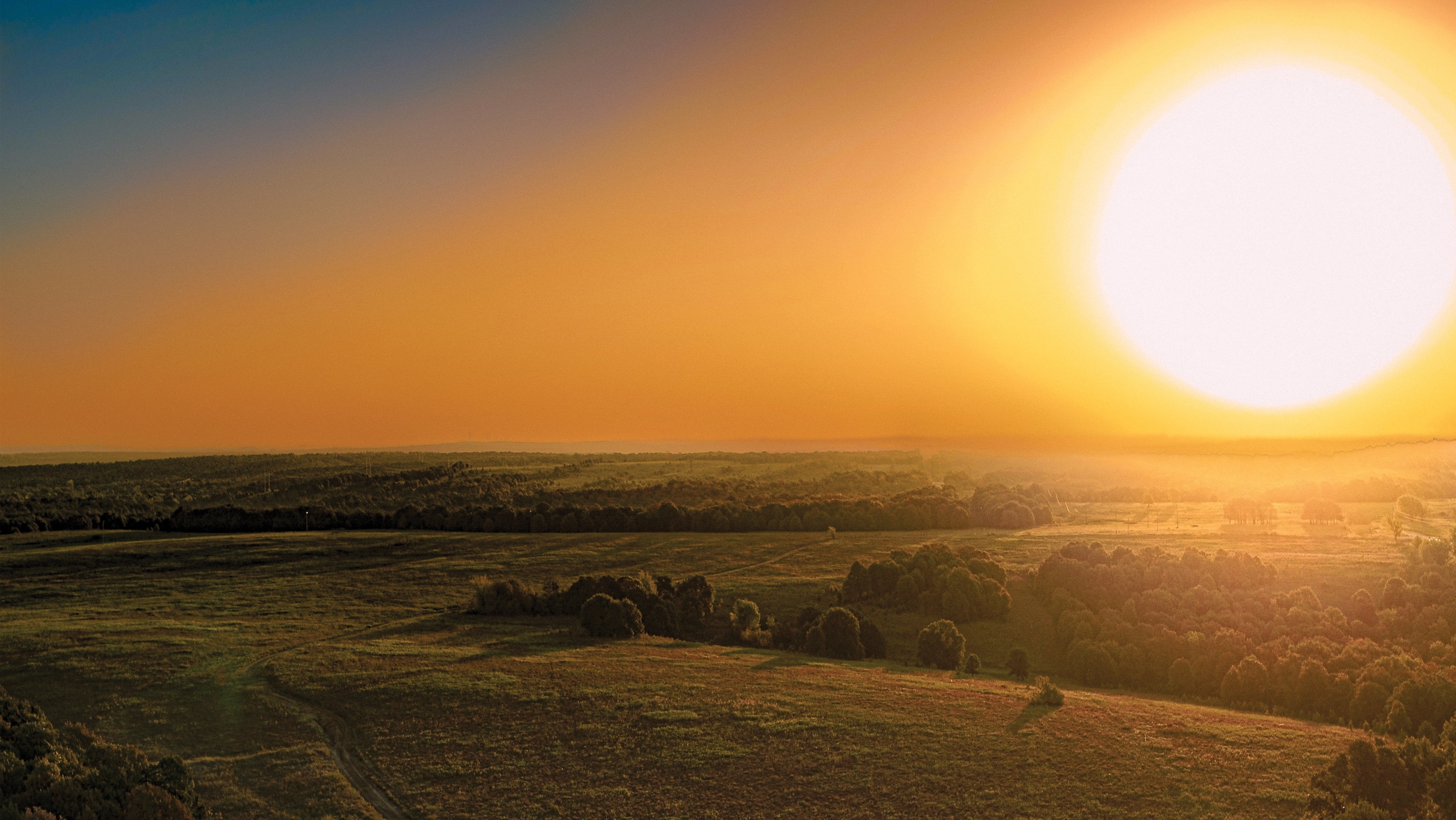 Sunrise over an Oak forest and green fields. 