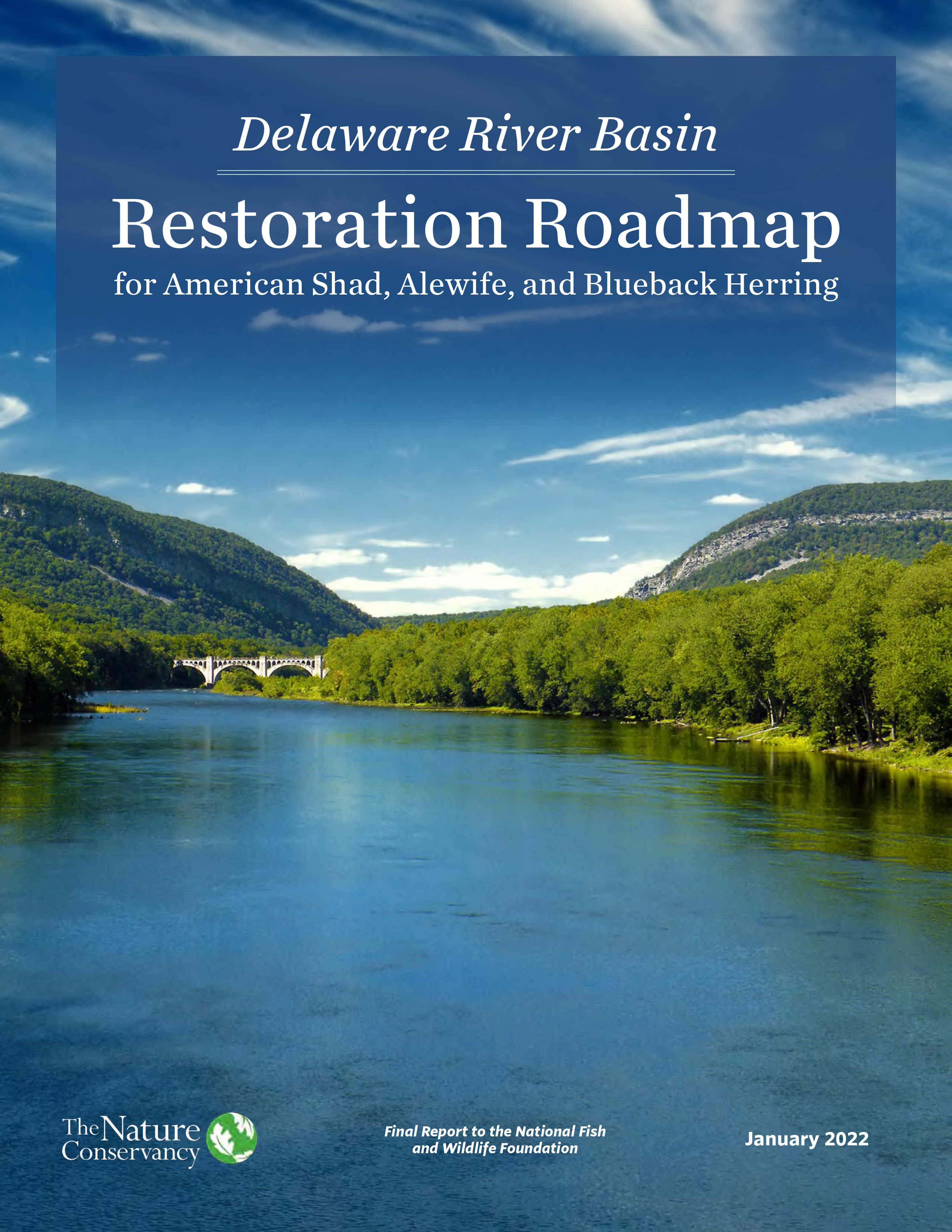 Restoration document entitled Delaware River Basin Restoration Roadmap for American Shad, Alewife, and Blueback Herring. The cover shows a wide, calm river flowing between tree lined banks.