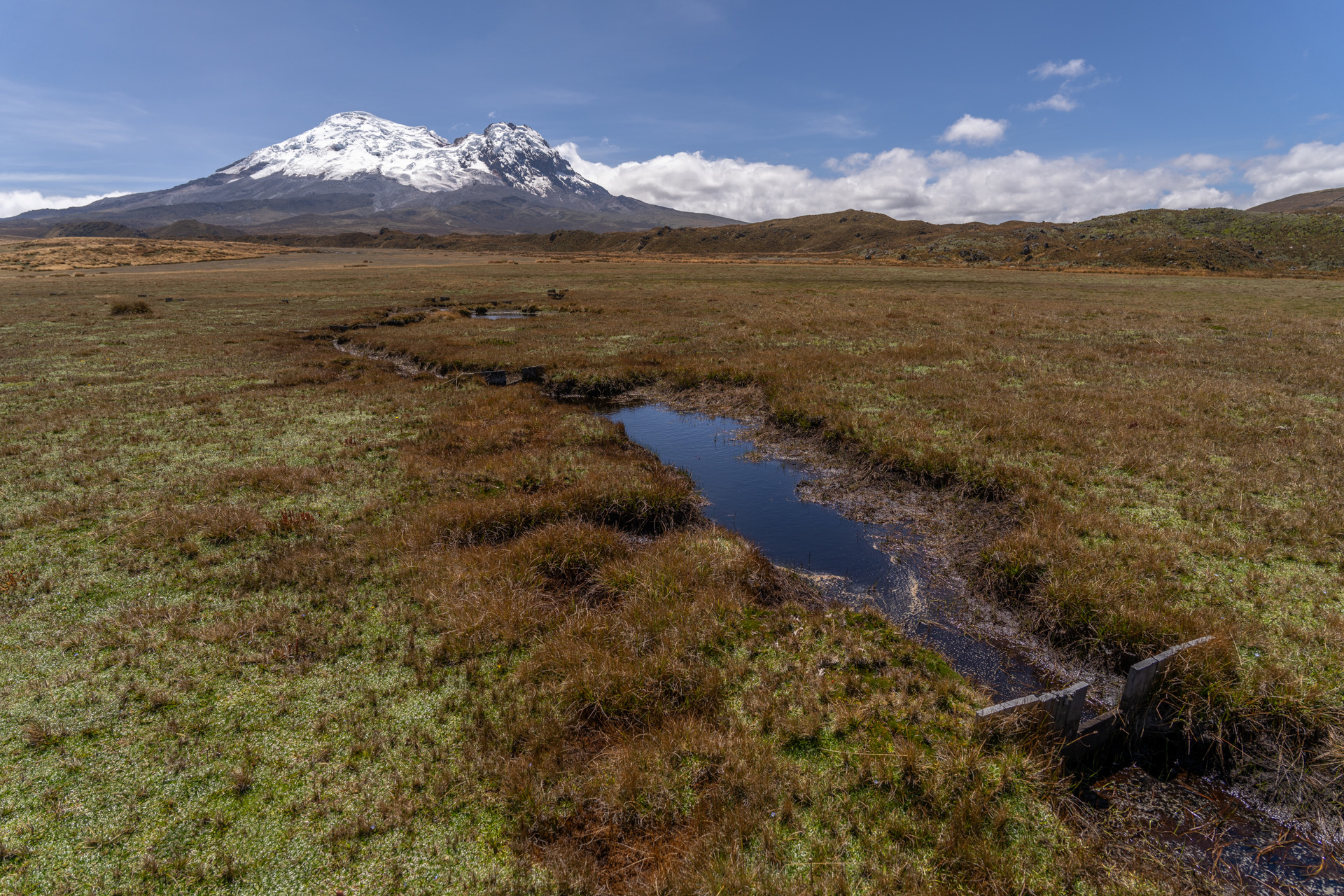 Área de Conservación de Paluguillo, Quito, Ecuador.