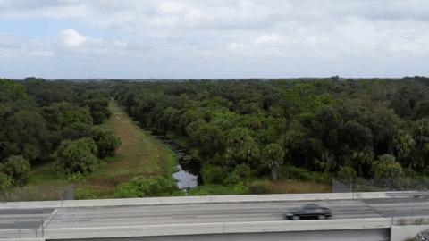 Looking north towards the Caloosahatchee River. The grassy area under the highway is a wildlife underpass that brings animals to the easiest spot to cross the Caloosahatchee.