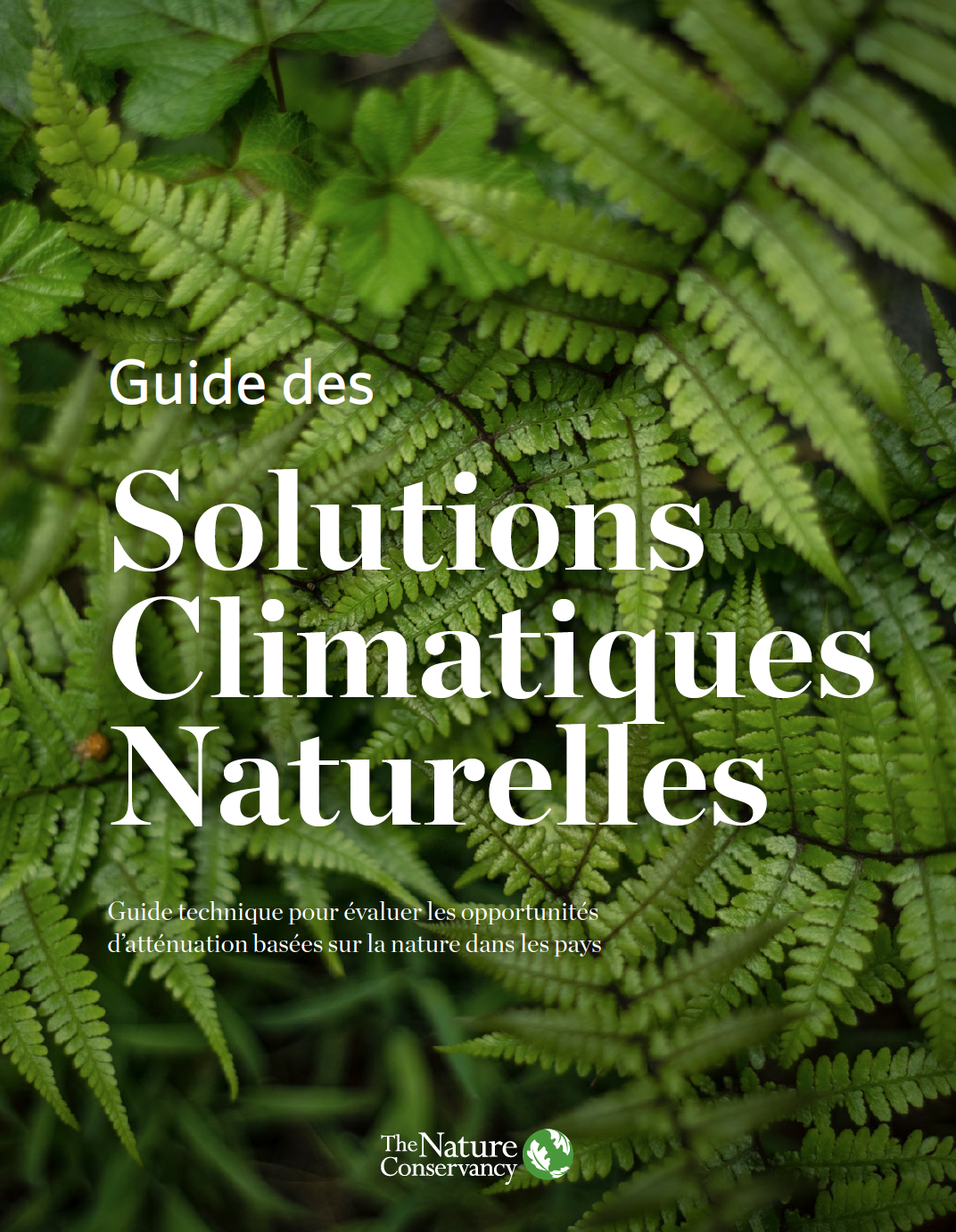 Text that says Natural Climate Solutions Handbook in French with micro shot of ferns.