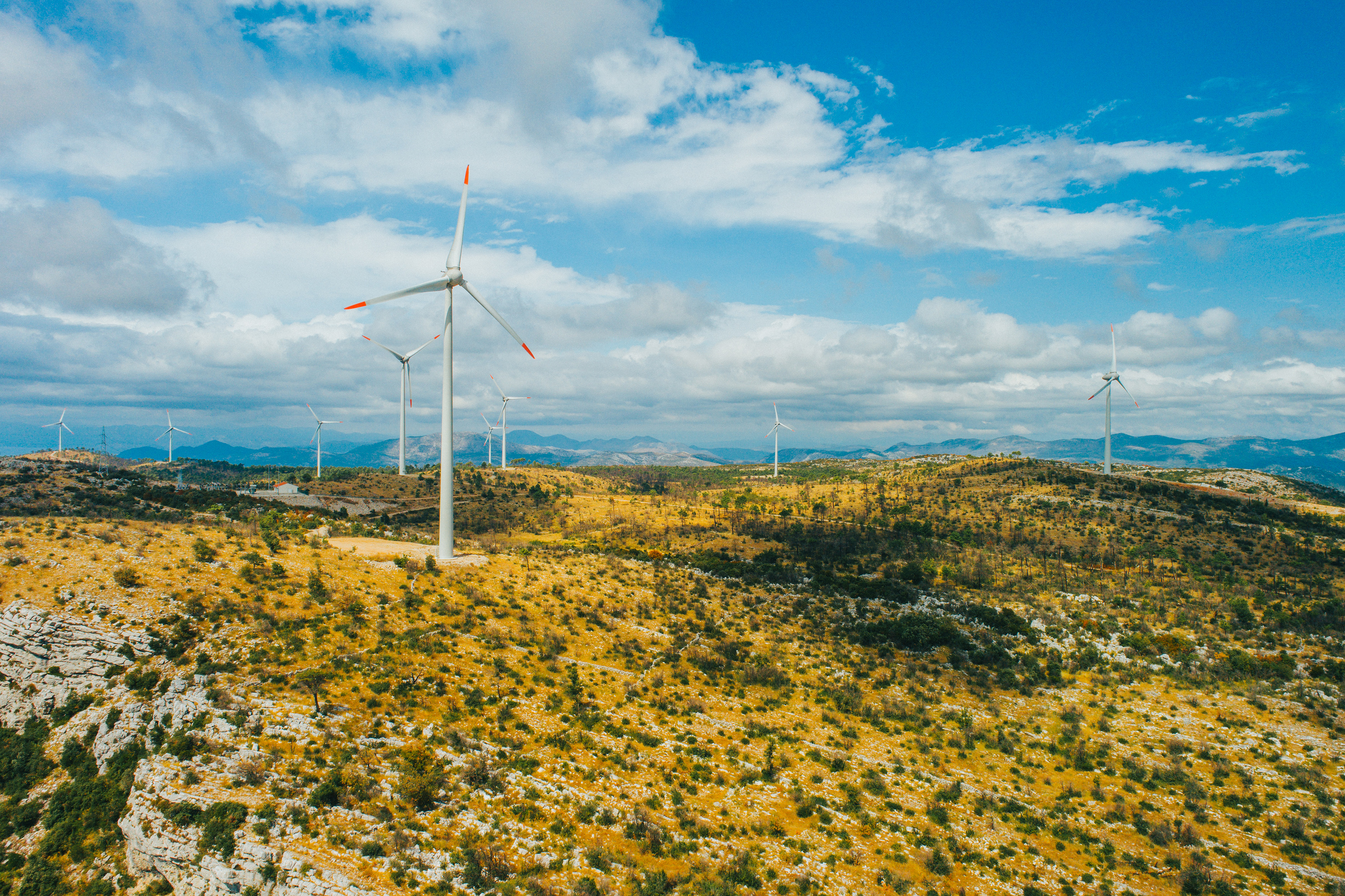 wind turbines on a farm