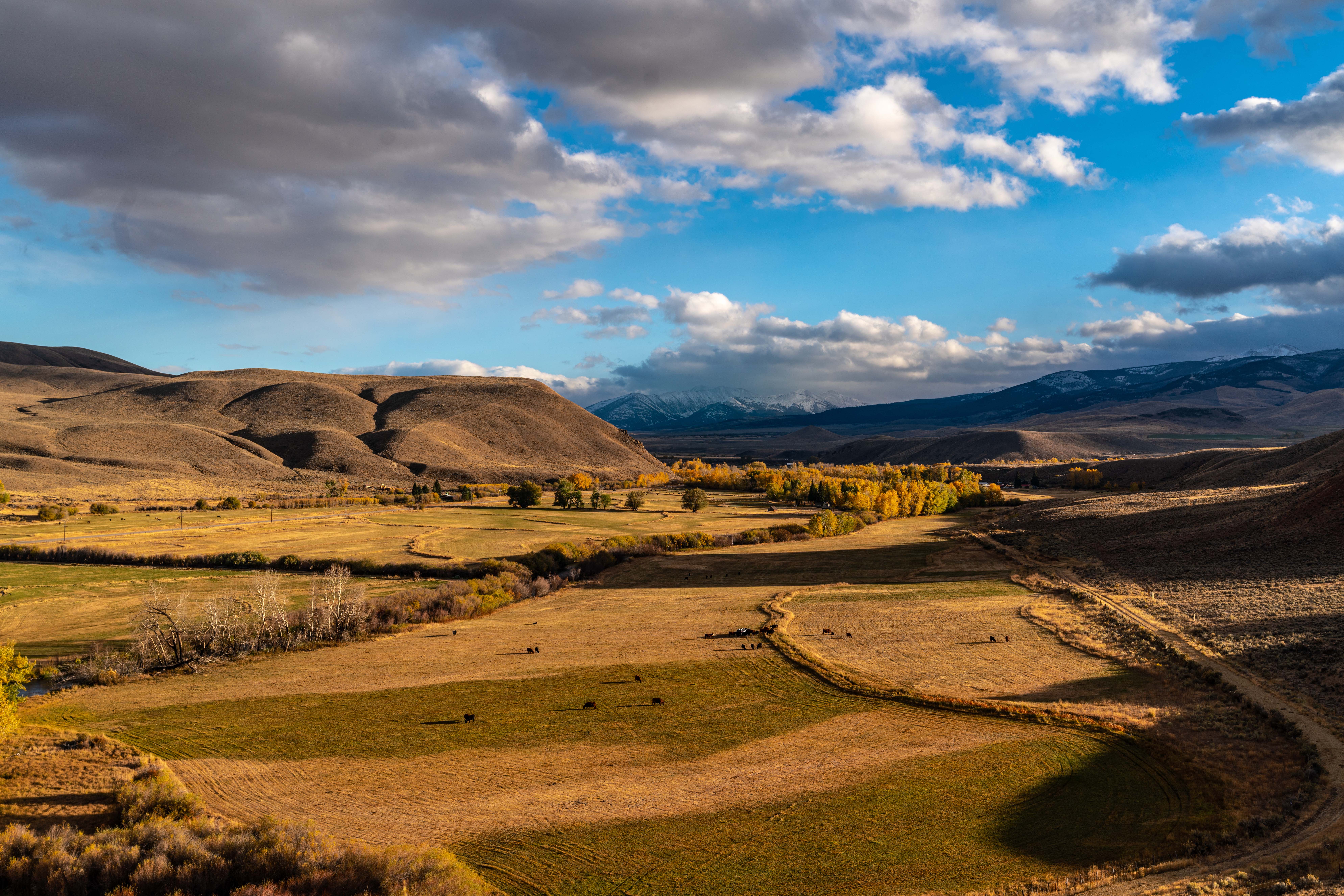 An expansive valley stretches before snowy mountains.