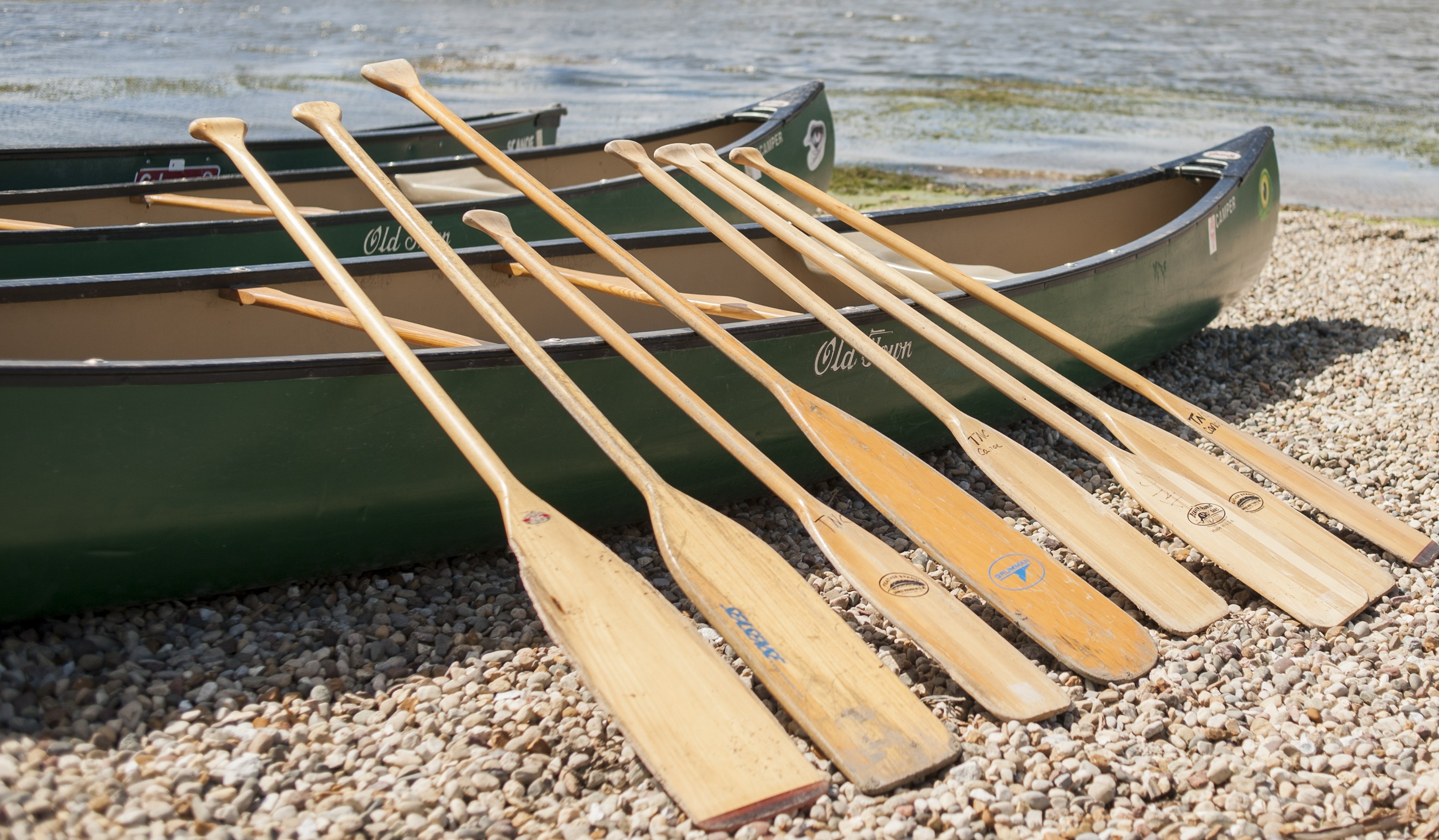 Two green canoes on the shore with paddles propped up against one canoe.